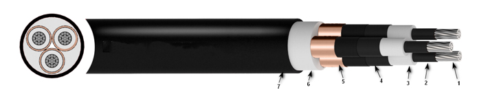 Португалски референциран 6kV-30kV LXHIE кабел XLPE алуминиумска жица (2)